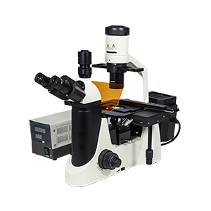 Fluorescence Microscope